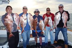 Snapper ‘book the boat' NoosaCat