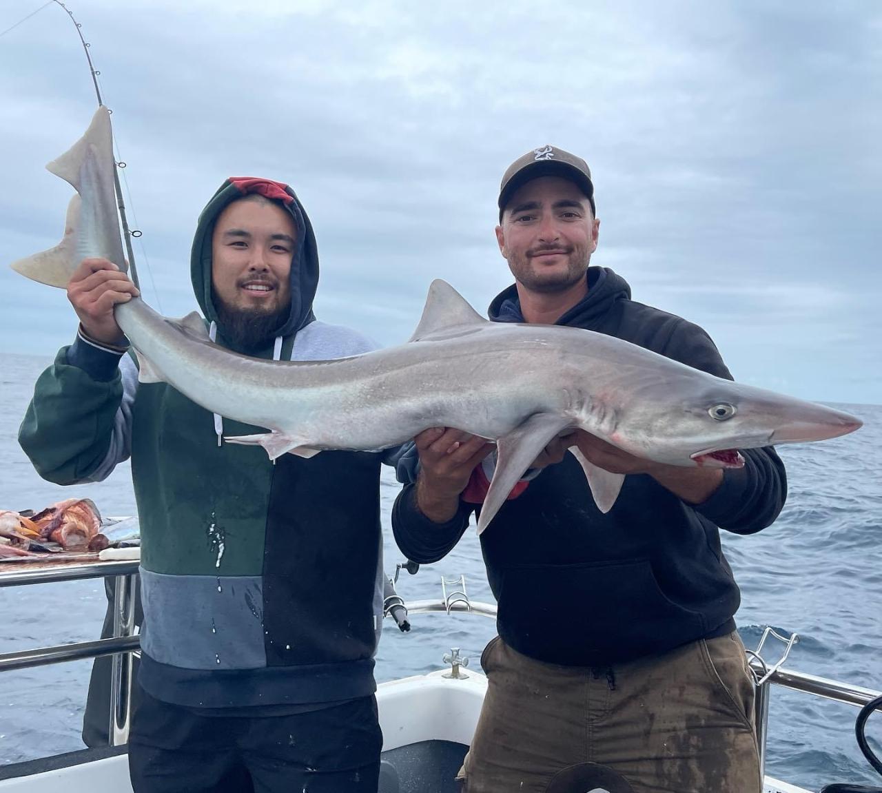 Gummy shark charter 'Individual' - Cassar Fishing Charters Reservations