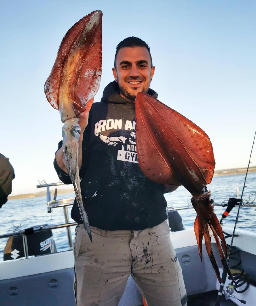 Squid / Whiting (Individual) Noosacat