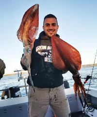 Squid / Whiting (Individual) Noosacat
