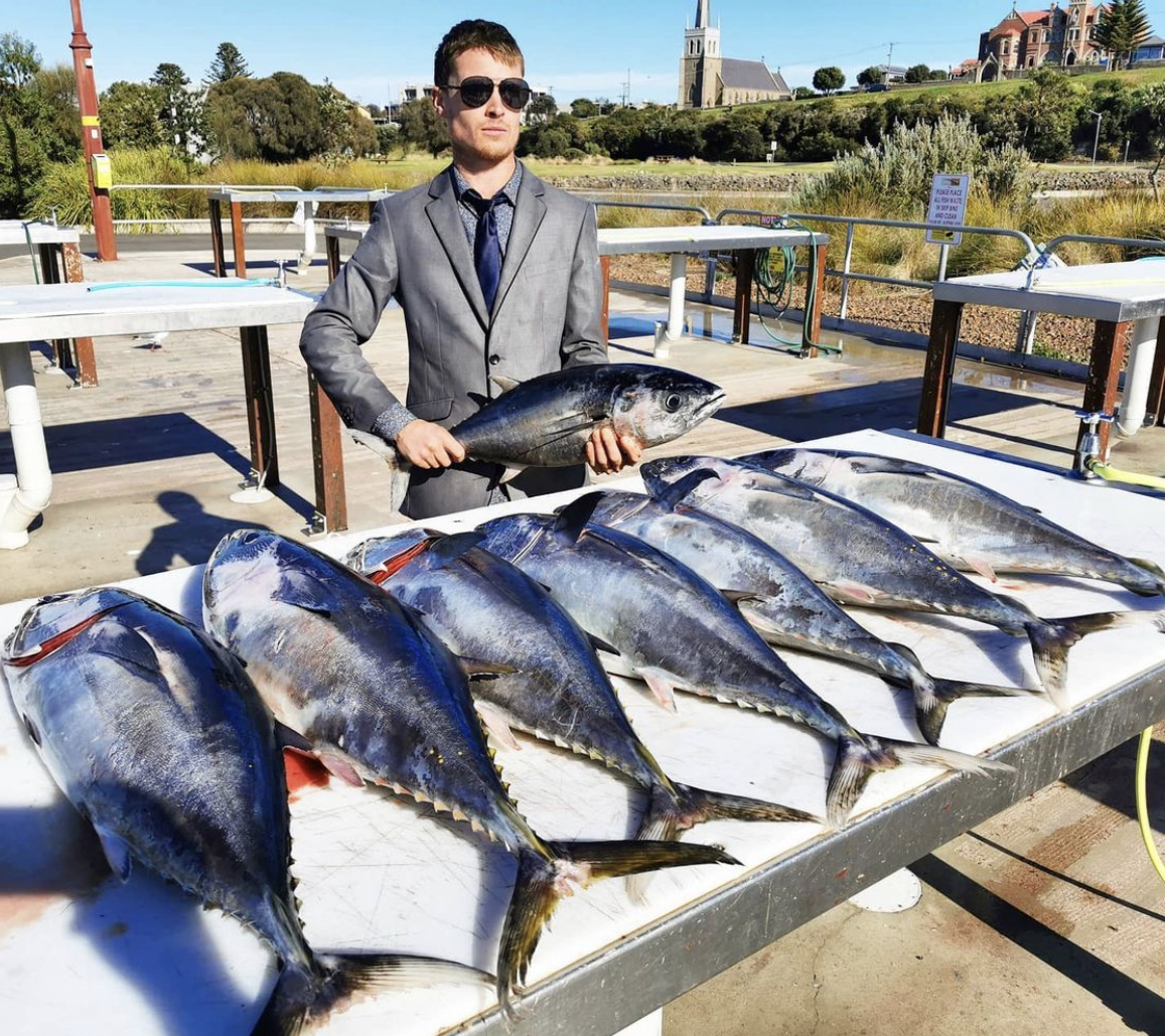 Portland Tuna Individual (School Fish)