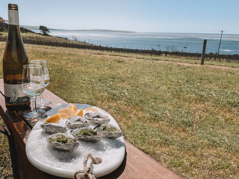 Fresh Oysters & Wine Tasting (12)