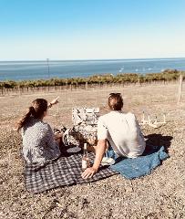 Picnic on the Bay Experience