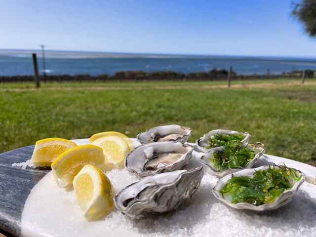 Fresh Oysters (6)