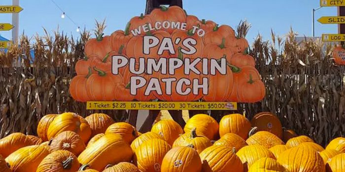 Pa's Pumpkin Patch - General Admission (3.5 Hours)