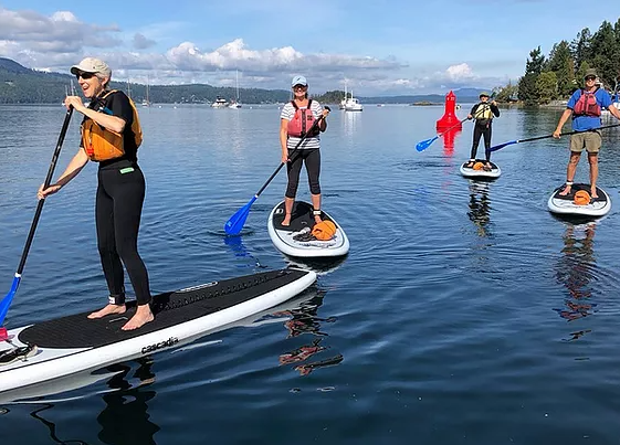 Learn to Paddleboard 