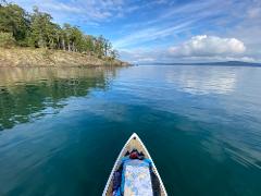 Gulf Islands SUP Explorer — 3-Hour Guided Paddleboard Tour