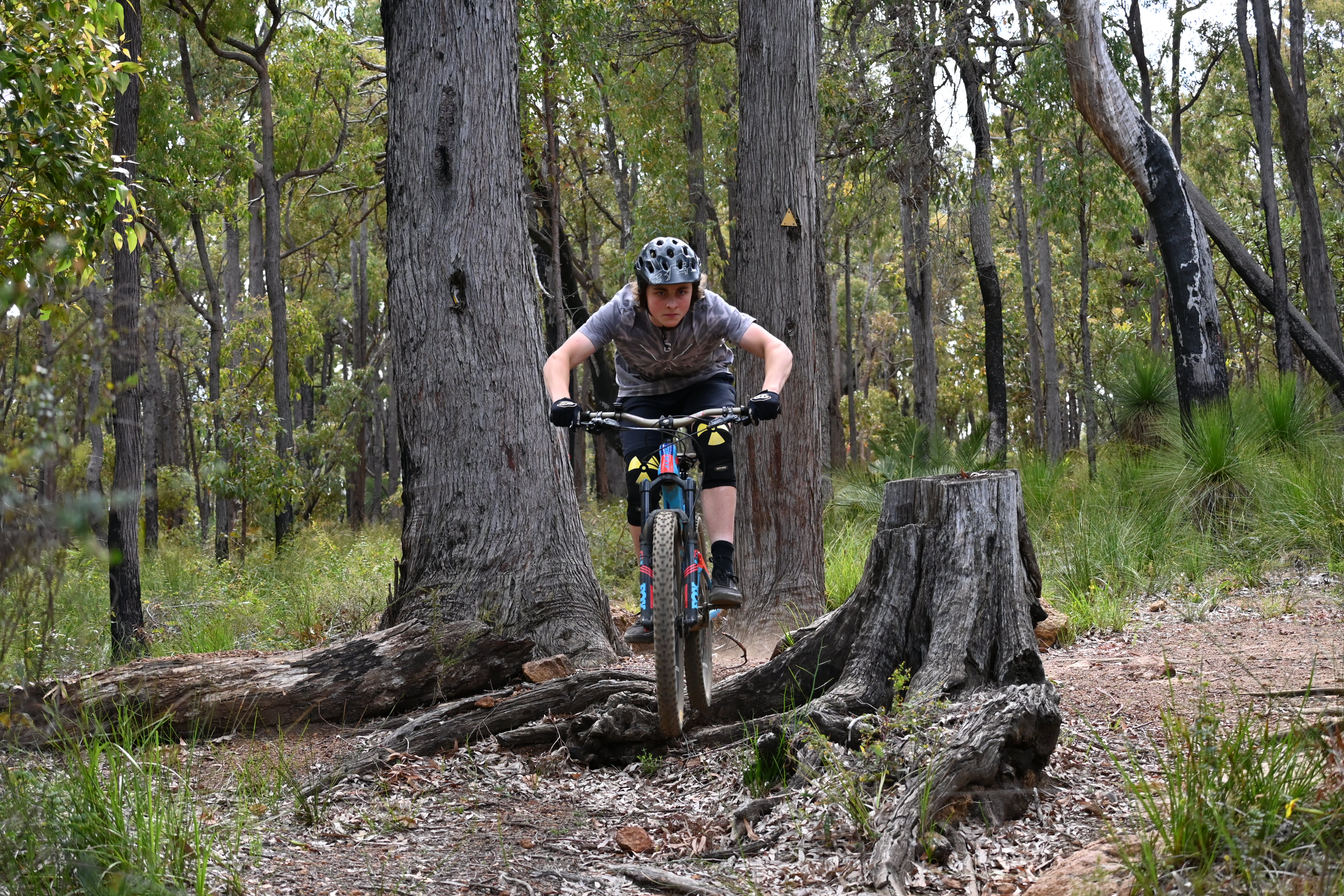 Dwellingup Half Day Mountain Biking