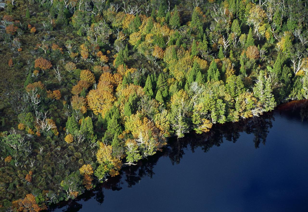 Tasmania's Remote North West Wilderness