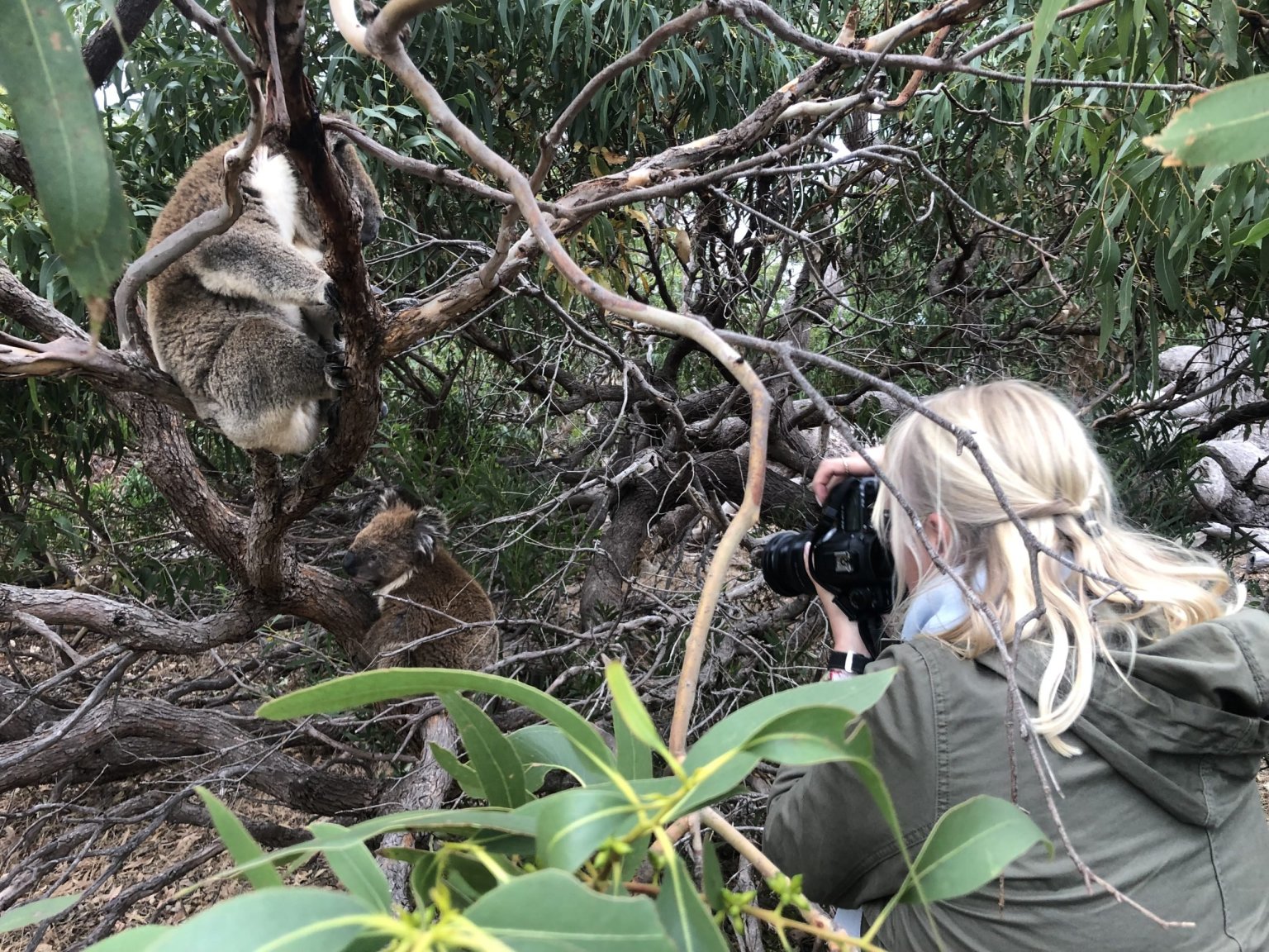 Port Lincoln & Coffin Bay Photography Tour, South Australia