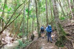 The Best of the K’gari (Fraser Island) Great Walk – K’gari, Queensland