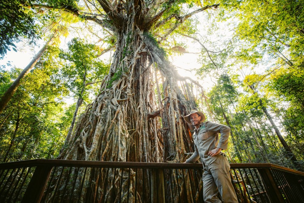 Far North Queensland, Wildlife & Conservation Safari