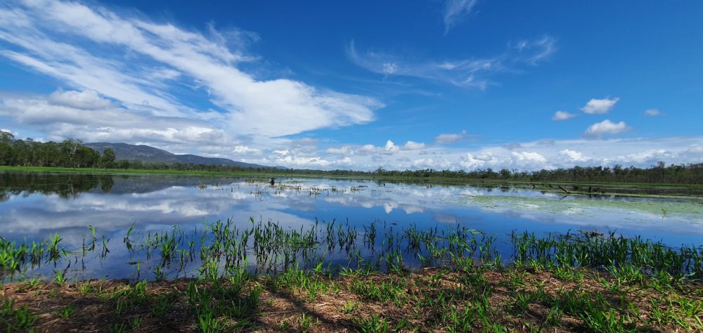 Far North Queensland, Wildlife & Conservation Safari