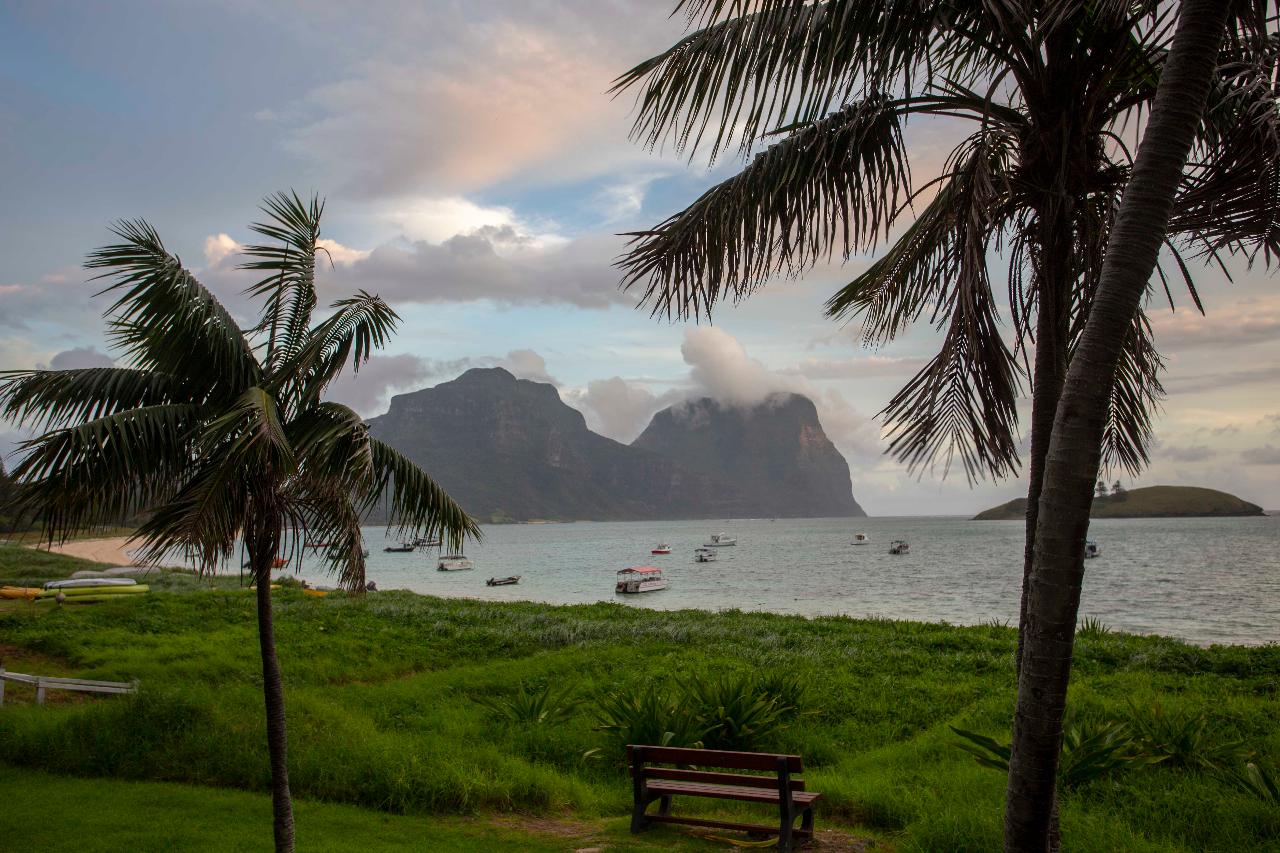 Lord Howe Island Expedition