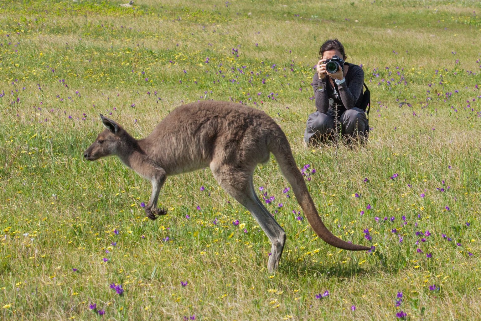 Port Lincoln & Coffin Bay Photography Tour, South Australia