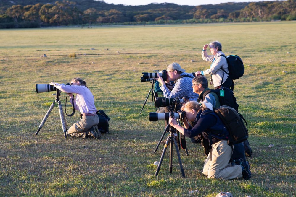 Kangaroo Island Photography Safari, South Australia