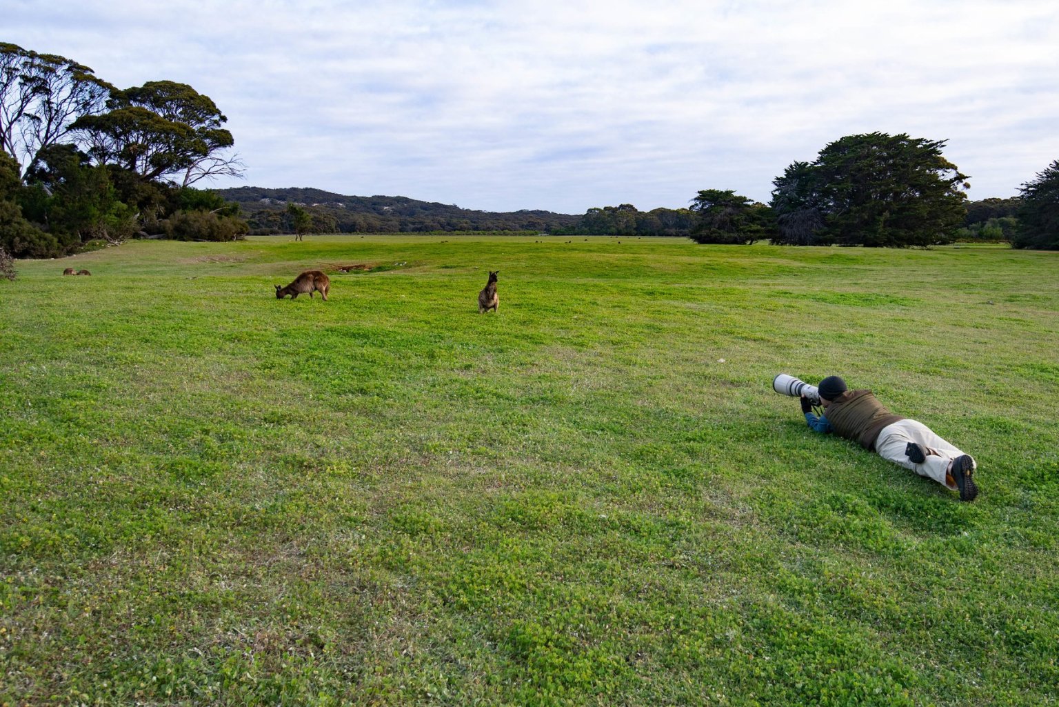 Kangaroo Island Photography Safari, South Australia