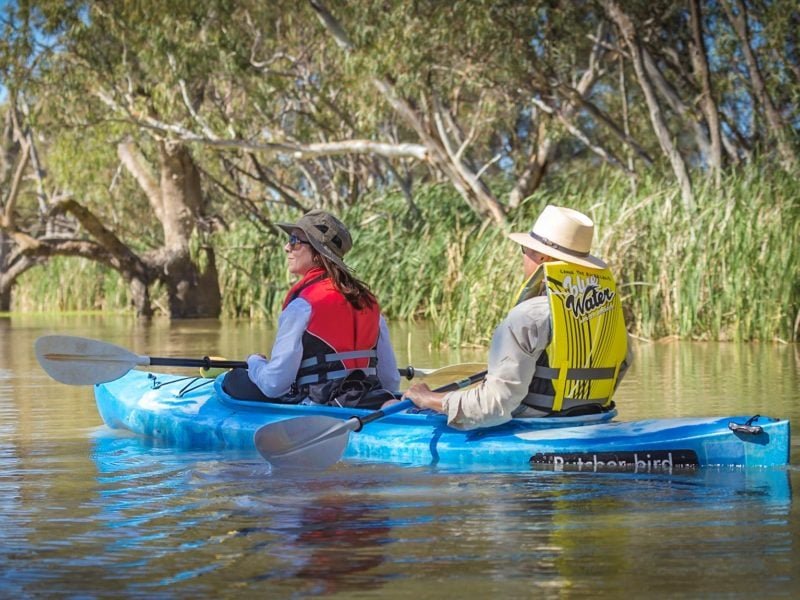 Murray River Safari - A Wildlife Adventure on Water, SA