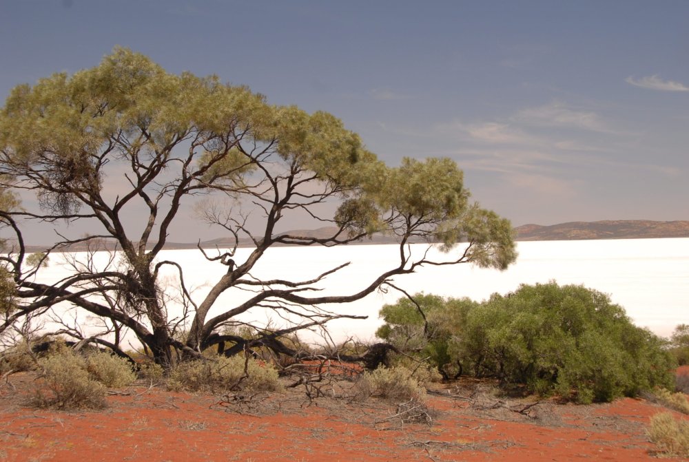 Eyre Peninsula, South Australia – From the outback to the ocean