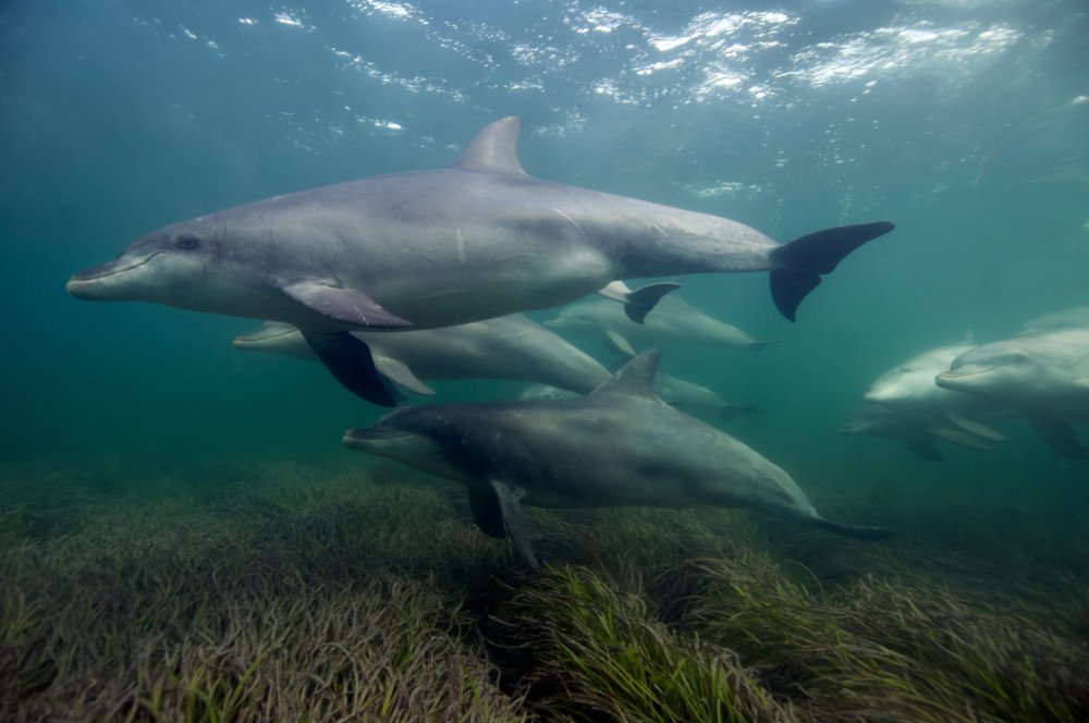 Eyre Peninsula, South Australia – From the outback to the ocean
