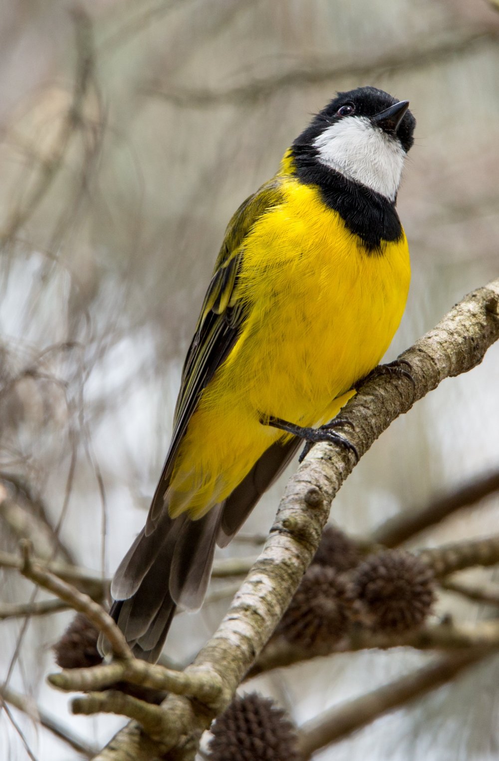 Port Lincoln & Coffin Bay Photography Tour, South Australia