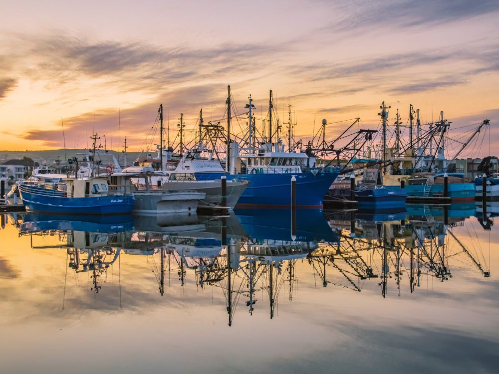 Port Lincoln & Coffin Bay Photography Tour, South Australia