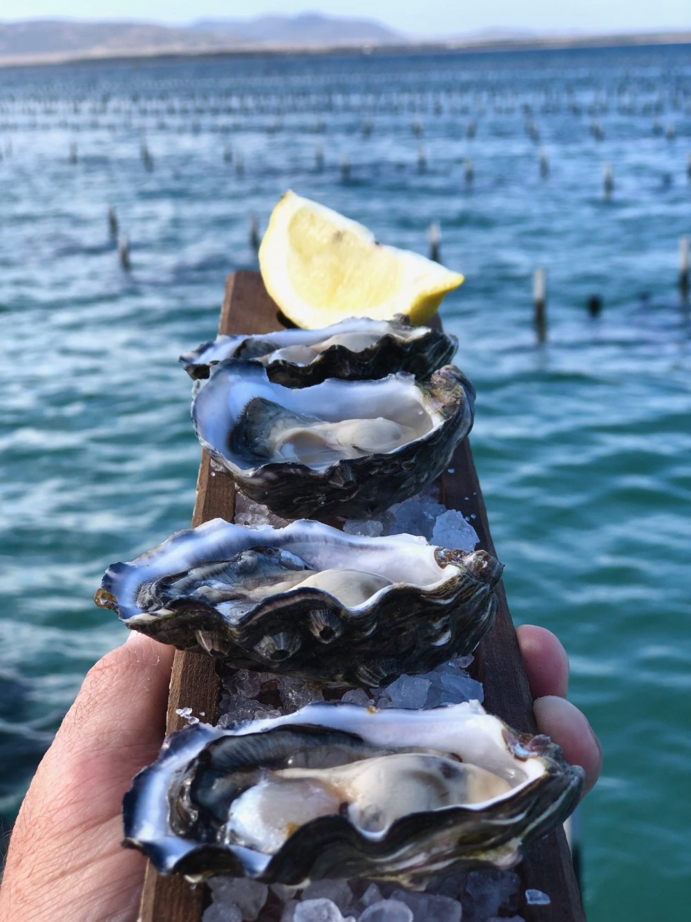 Port Lincoln & Coffin Bay Photography Tour, South Australia