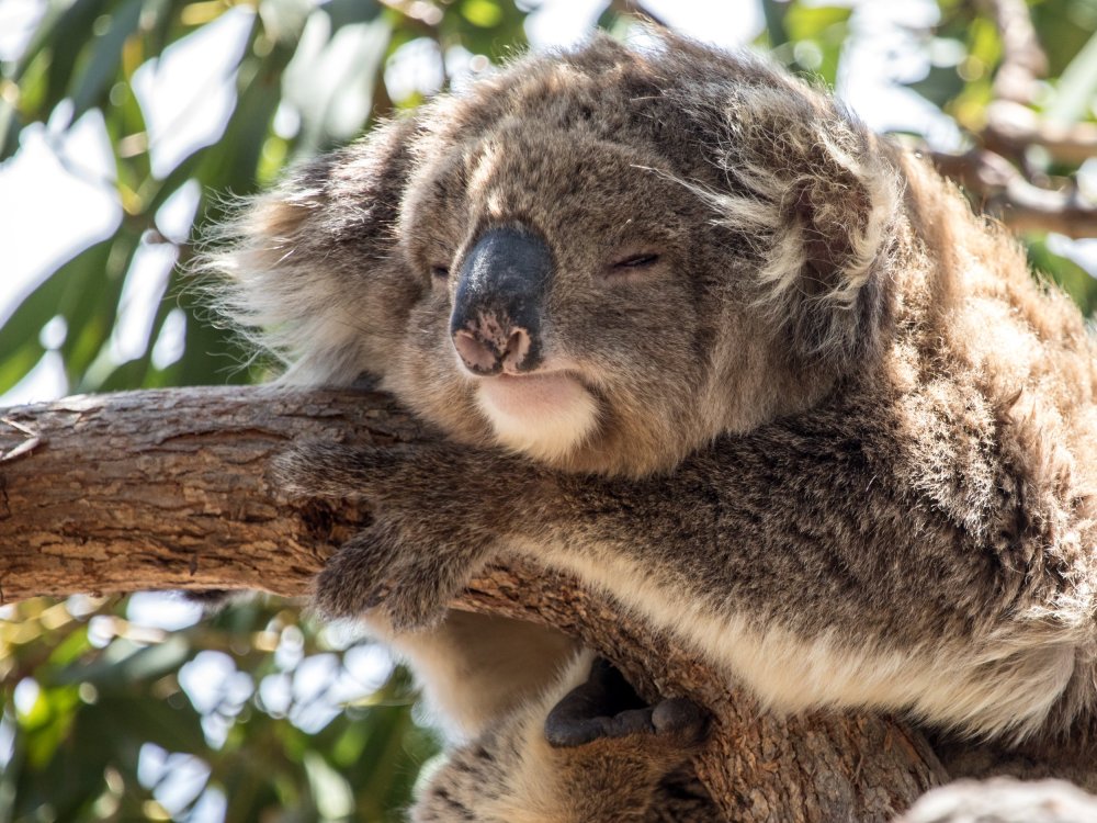 Port Lincoln & Coffin Bay Photography Tour, South Australia
