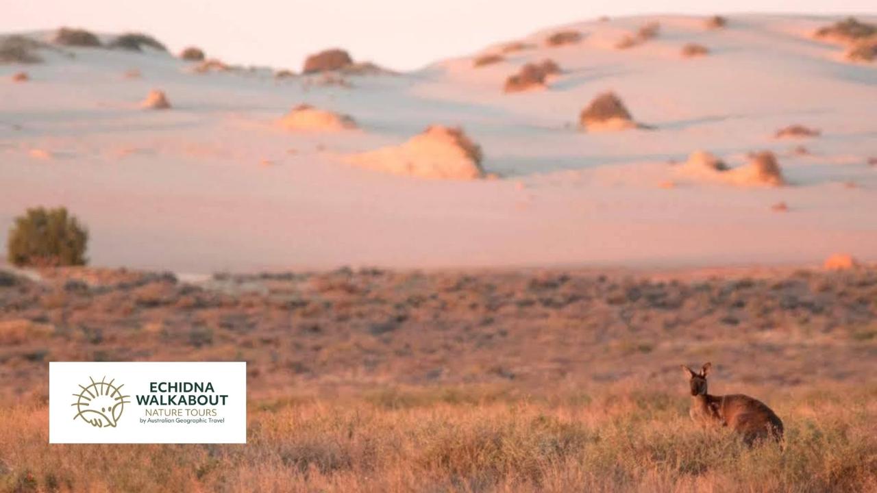 Mungo Outback & Conservation Journey, Victoria & New South Wales by Echidna Walkabout