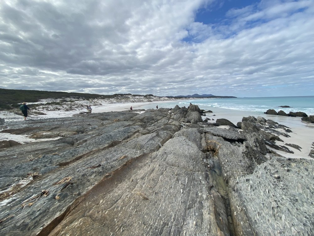 Walking with Wildflowers – Fitzgerald Biosphere & Stirling Ranges, Western Australia
