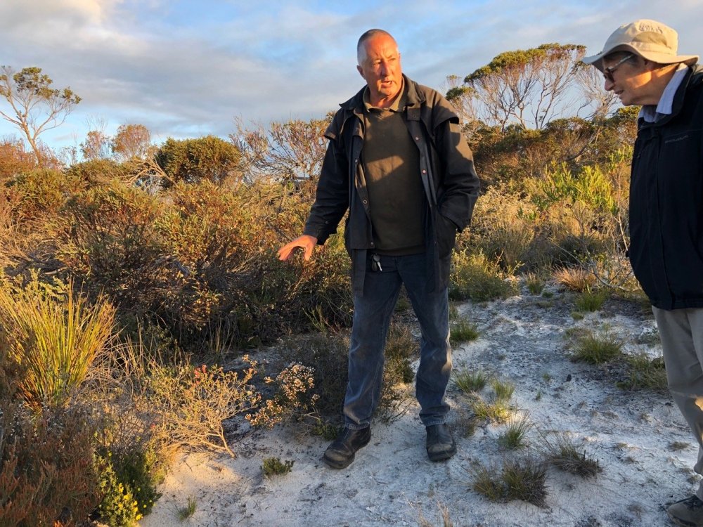 Walking with Wildflowers – Fitzgerald Biosphere & Stirling Ranges, Western Australia