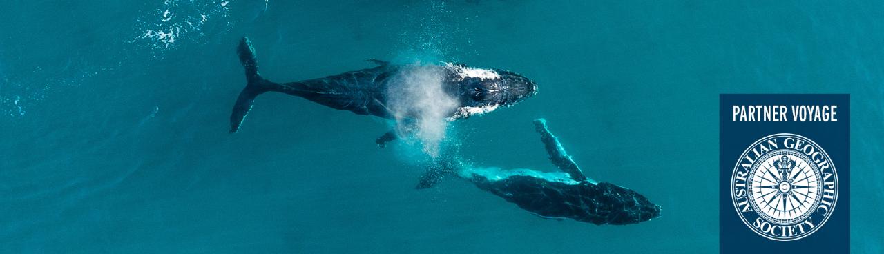 Expedition Cruise - Whales and Trails of Western Australia