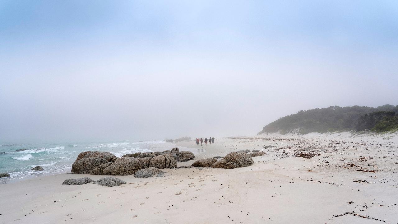 Wukalina Bay of Fires Walking & Cultural Experience