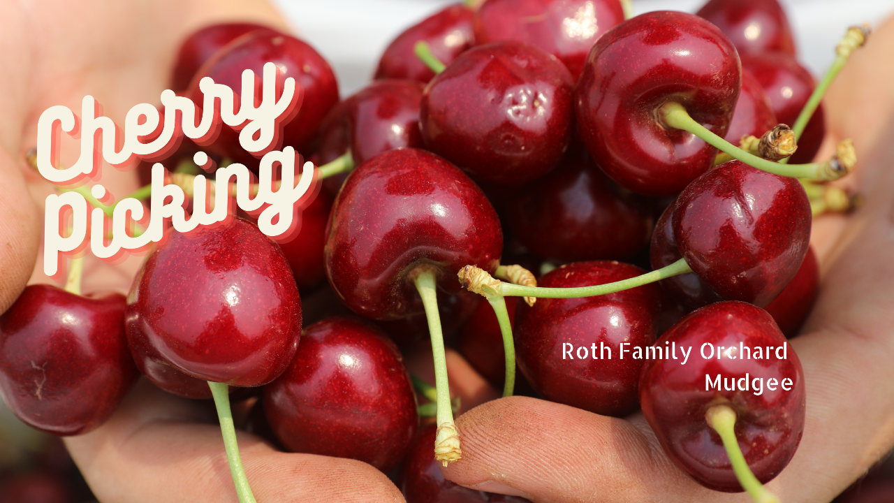 2024 SWEET CHERRY SEASON CLOSED