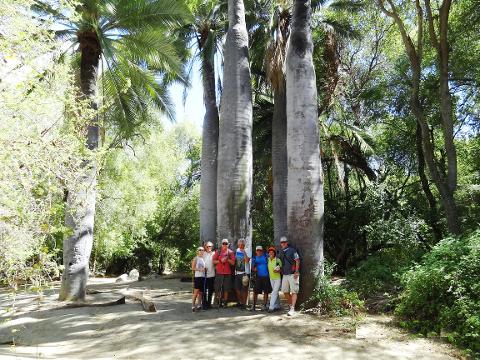 La Campana National Park 12K - Private Tour