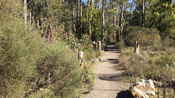 Adelaide Hills Nature Highlights e-Bike Guided Tour with 'Big Dig' lunch