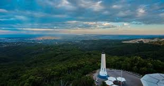 Adelaide Hills Nature Highlights e-Bike Guided Tour with 'Big Dig' lunch