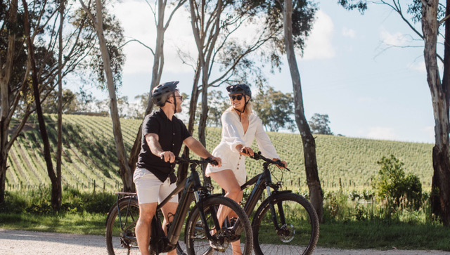 Golding Wines Private e-Bike Adventure & Heavenly Hamper 