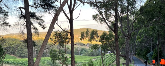 Local Landcare Trail Self-Guided E-Bike Tour with Morning Tea & Classic Pub Lunch