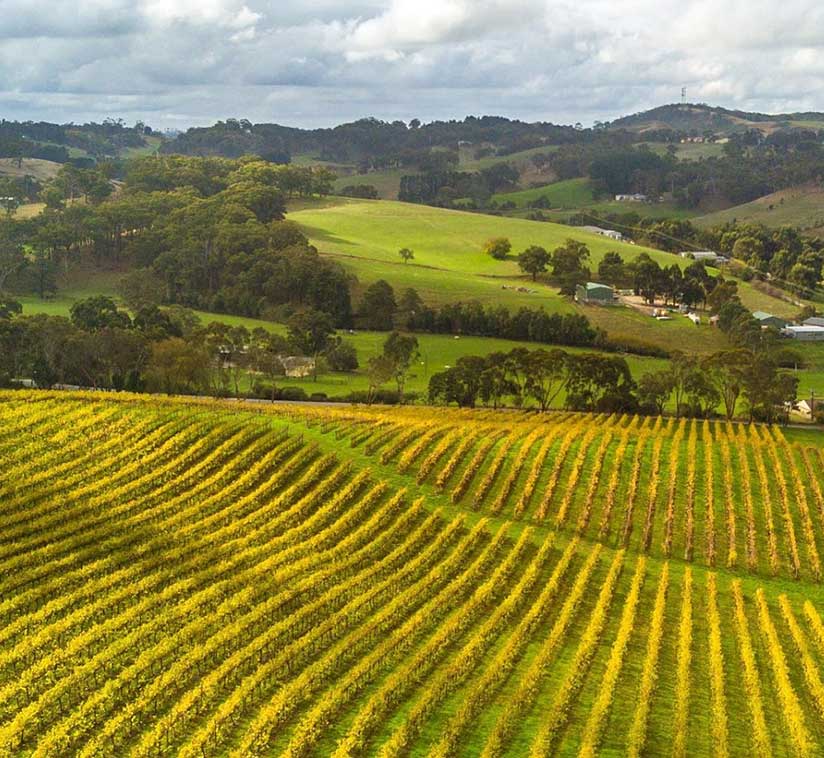 Adelaide Hills Village to Village e-Bike Easy Self-Guided Tour