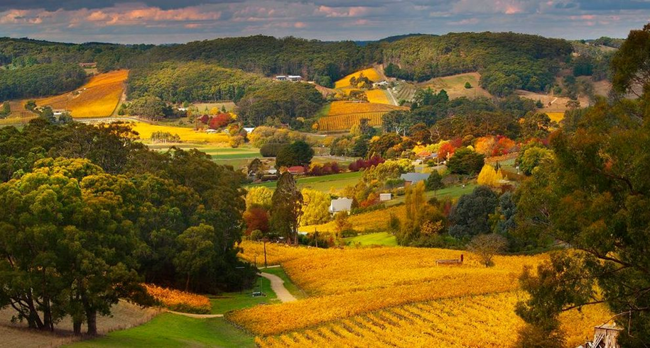 Adelaide Hills Nature Highlights e-Bike Guided Tour with 'Big Dig' lunch