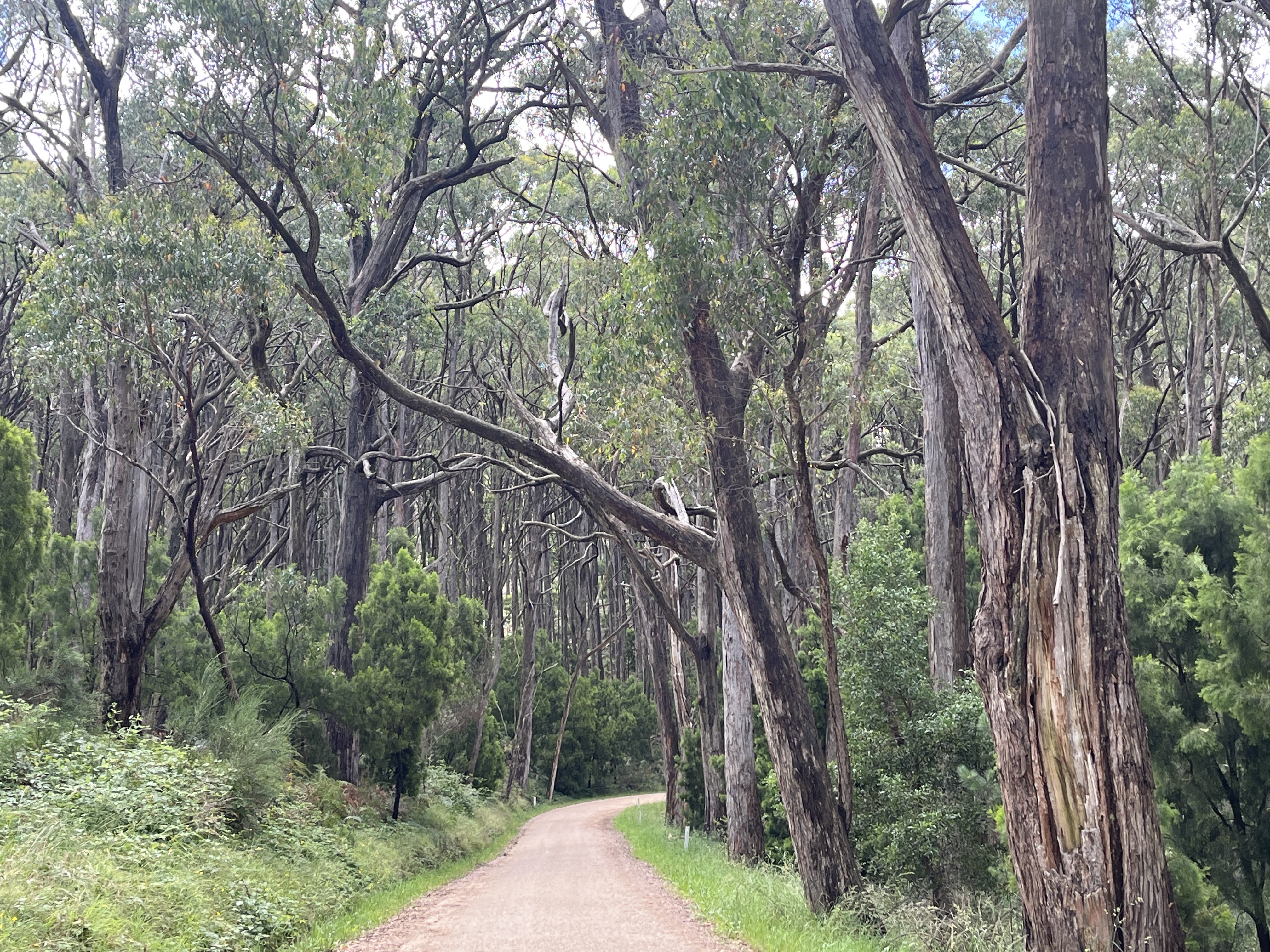 Adelaide Hills Village to Village e-Bike Easy Self-Guided Tour
