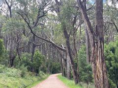 Adelaide Hills Village to Village e-Bike Easy Self-Guided Tour