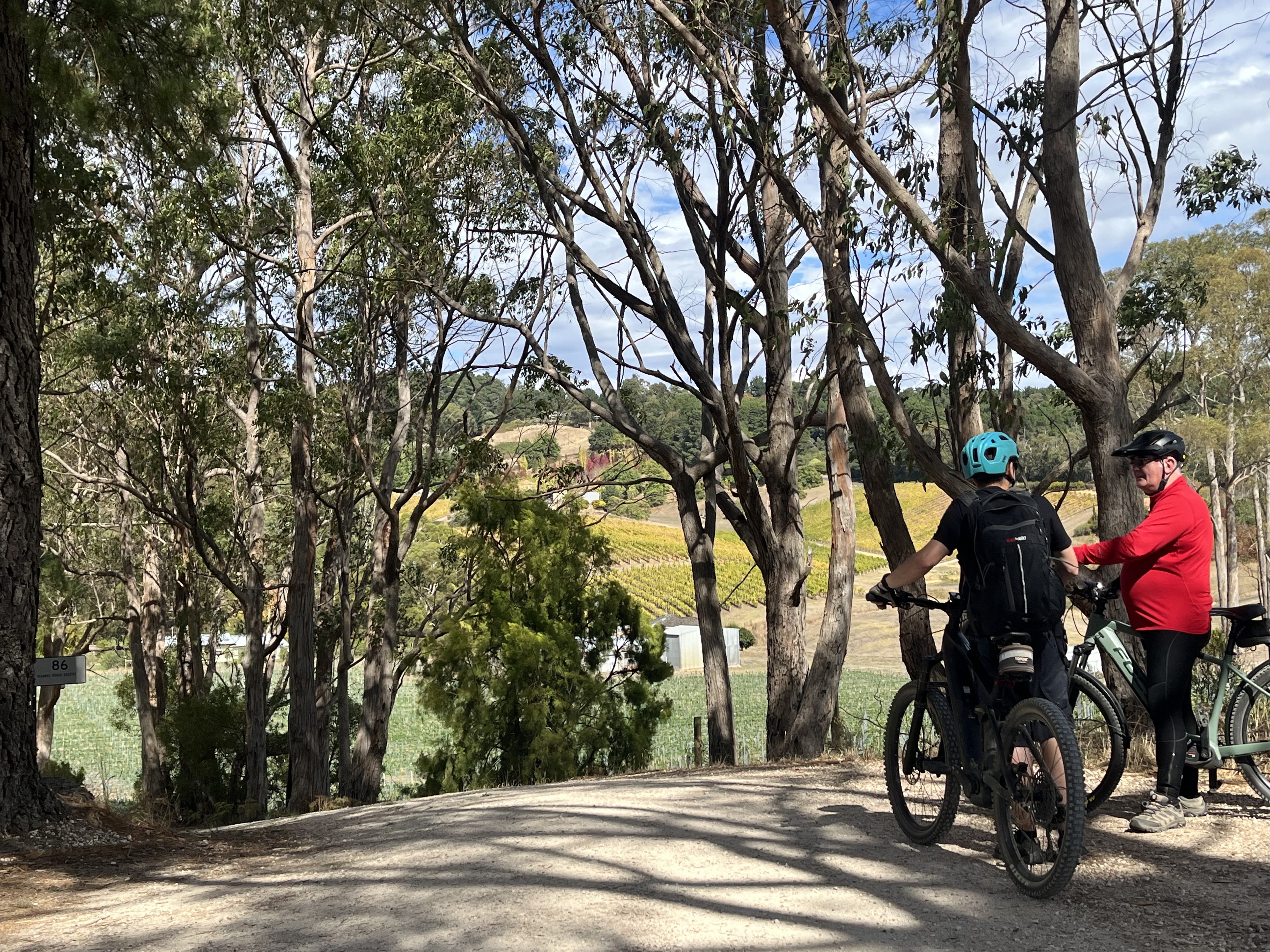 Adelaide Hills Nature Highlights e-Bike Guided Tour with 'Big Dig' lunch