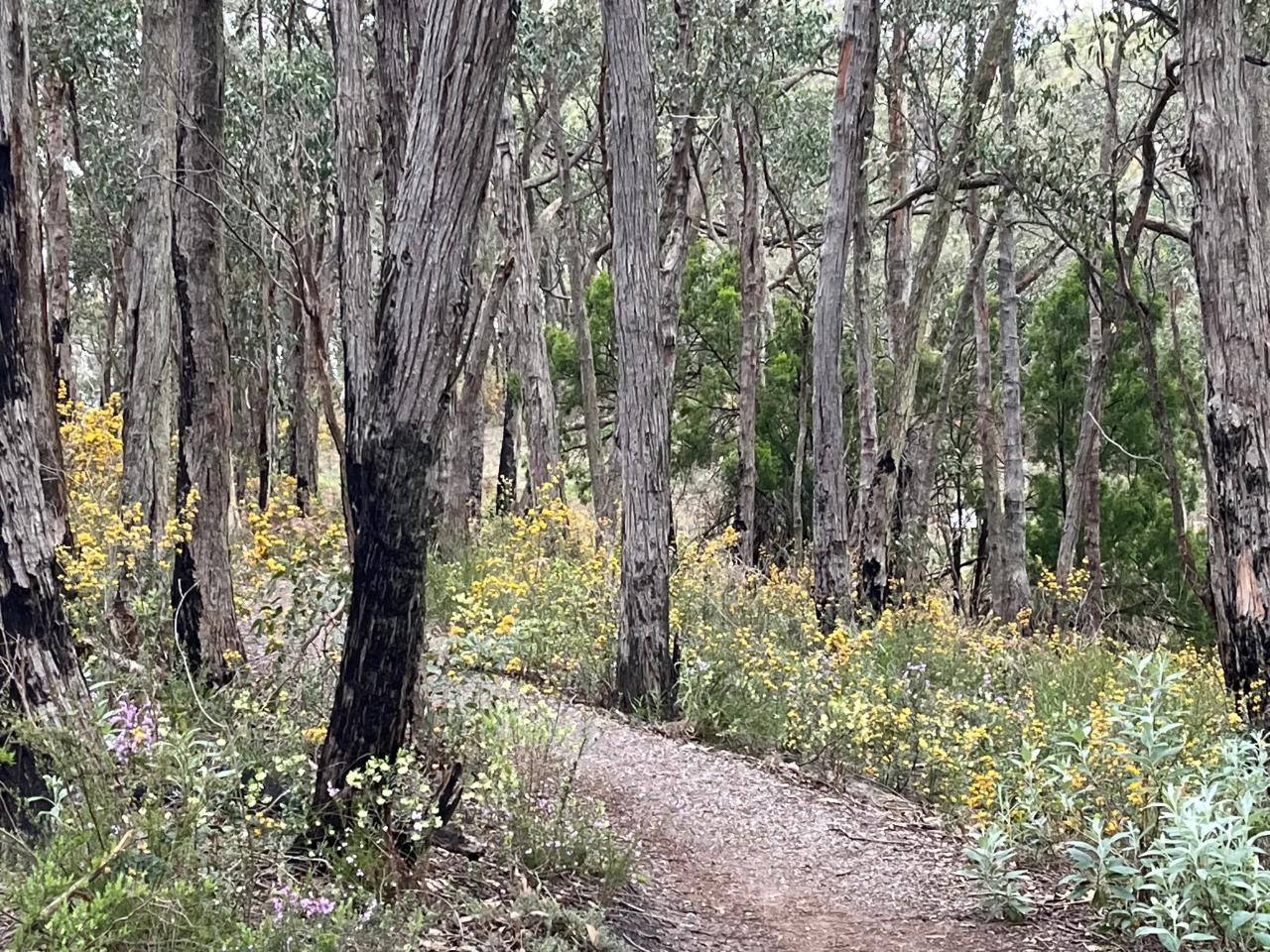 Adelaide Hills Nature Highlights e-Bike Guided Tour