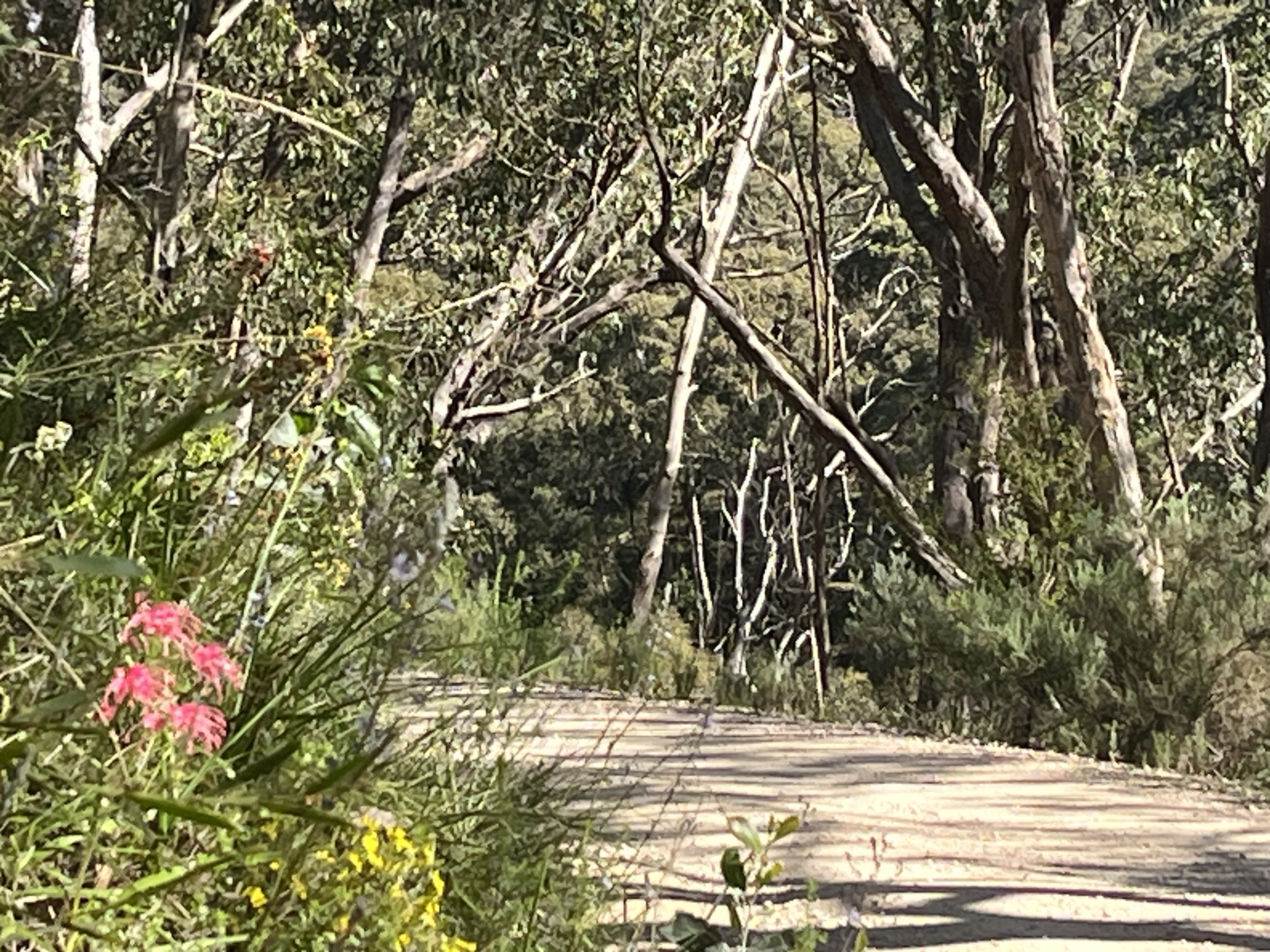 Adelaide Hills Village to Village e-Bike Easy Self-Guided Tour