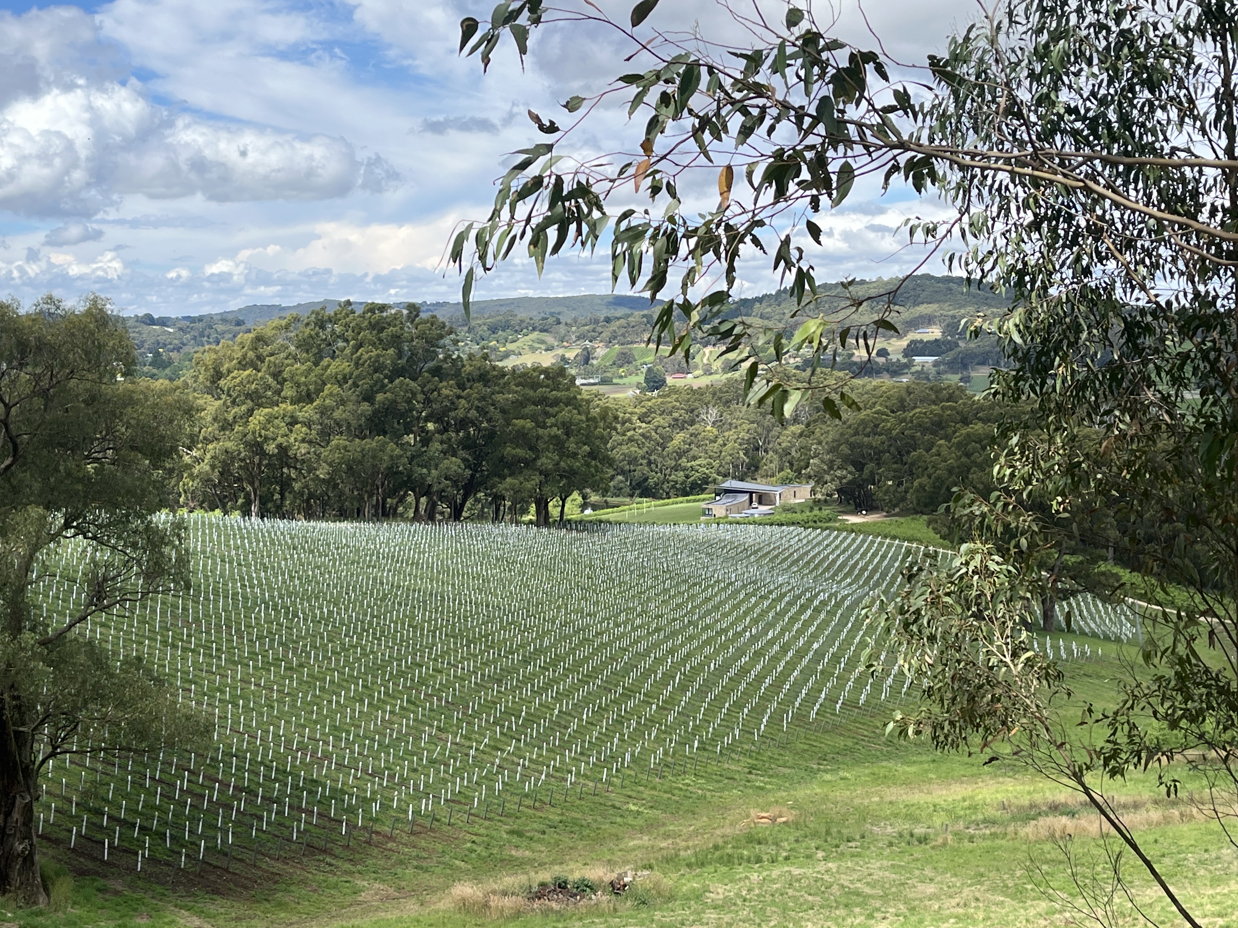 Adelaide Hills Village to Village e-Bike Easy Self-Guided Tour