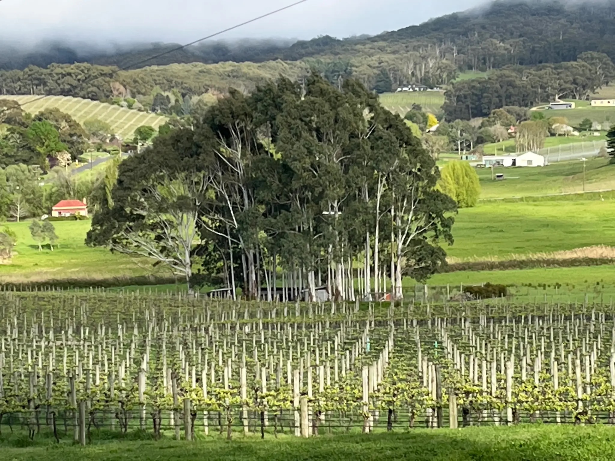 Adelaide Hills Village to Village e-Bike Easy Self-Guided Tour