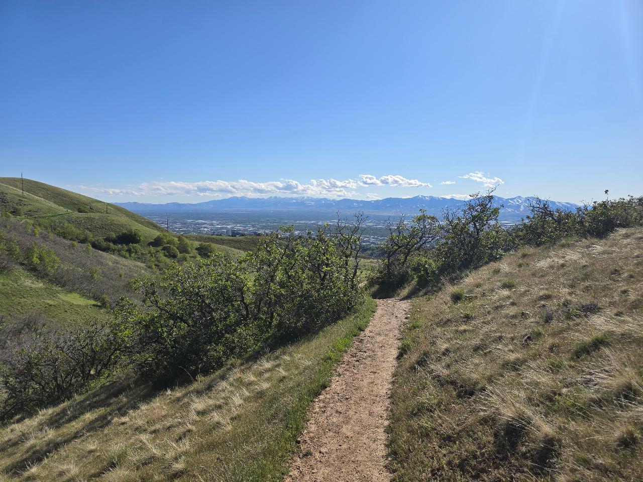 Scenic Nature Hike 