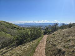 Scenic Nature Hike 